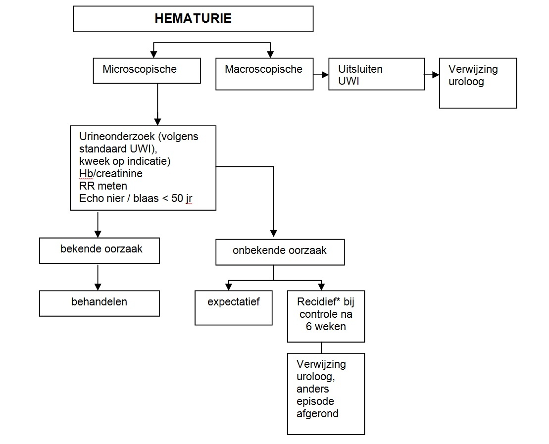 Oorzaken Hematurie